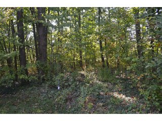 Property photo 43 - REAL ESTATE AUCTION IN ALLEN CO., INDIANA